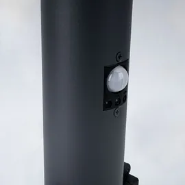 GLOBO Stehlampe Smart Außenleuchte mit Bewegungsmelder Gartenleuchte dimmbar, Sprach-, App Steuerung, rgb LED 8,5W 806lm warmweiß, h 60 cm