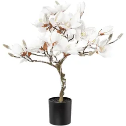 CREATIV green künstliche Pflanze Magnolienbaum beschneit, 20 LED, 58 cm