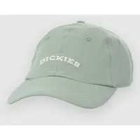 Dickies Wilsall Cap Iceberg Green - One Size