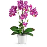 PASCH® Orchideen Künstlich in Hochglanz-Keramiktöpfen (46cm) | Kunstblumen Wie Echt | Künstliche Orchideen im Topf (Lila)