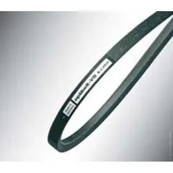 Optibelt B 151 VB S=C Plus B / 17 Klassische Keilriemen, DIN 2215 / ISO 4184, 3850mm Länge