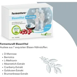 Pharmatura GmbH & Co. KG Fermentura Blasenvital D-Mannose Kapseln 60 St.