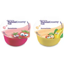 Nutrini Creamy Fruit Mischkarton
