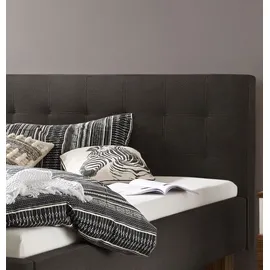 Hasena Polsterbett Noemi Farbe: Nussbaum, geölt, Bezugsfarbe: Buffalo shale, verschiedene Größen