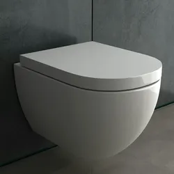 Alpenberger Spülrandloses Dusch-WC / 2IN1 WC&BIDET - Toilette mit Absenkautomatik Nanobeschichtung