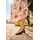 aniston shoes Riemchensandalette Damen Schwarz 42