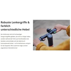 Segway Ninebot E45D E-Scooter (9 Zoll, Grau)