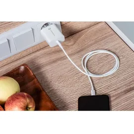 forcell NETZ-Ladegerät mit USB Typ C und iPhone-Anschluss Ladekabel