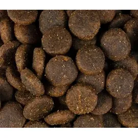 CARNILOVE Welpenfutter Lachs & Pute 4 kg