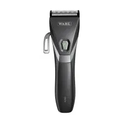 Wahl Kuno