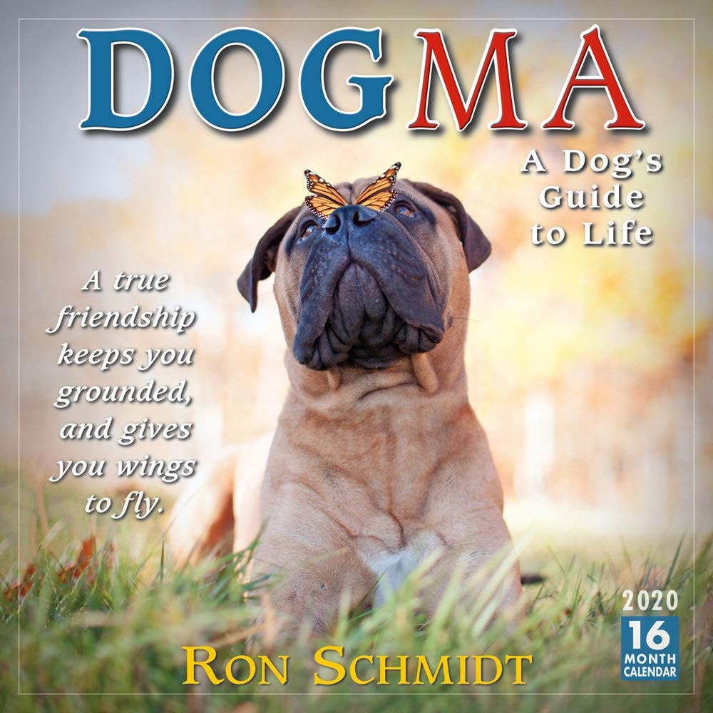 Dogma 2020 Calendar: A Dog's Guide to Life