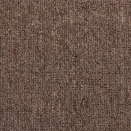 vidaXL Stufenmatten 30 Stk. 65x24x4 cm Kaffeebraun Halbrund Groß