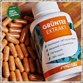 ProFuel Grüntee Extrakt Kapseln 120 St