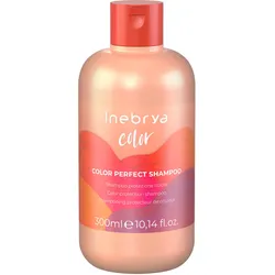 Inebrya Color Color Perfect Shampoo 300ml