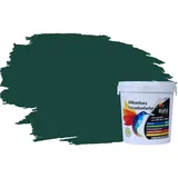 RyFo Colors Silikonharz Fassadenfarbe Lotuseffekt Trend Grüntöne Dschungelgrün 1l - bunte Fassadenfarbe, weitere Grün Farbtöne und Größen erhältlich, Deckkraft Klasse 1