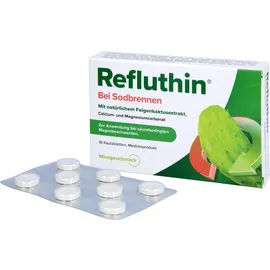 Dr. Willmar Schwabe Refluthin bei Sodbrennen Kautabletten Minze
