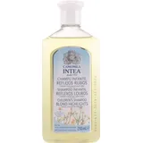 Intea Camomila Intea Shampoo 250 ml