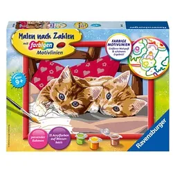Ravensburger Malen-nach-Zahlen Zwei Schmusekätzchen 4005556283422 Ravensburger