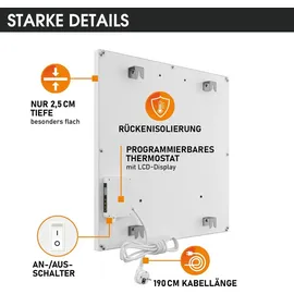Brast Infrarotheizung IP-TH 450 mit Thermostat