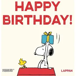 Peanuts Geschenkbuch: Happy Birthday!