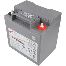 Exide Sprinter P12V600 12V 24000 mAh 1 St.