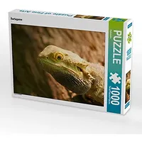 Calvendo Bartagame 1000 Teile Puzzle quer