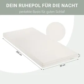 Homestyle4u Hausbett 90 x 200 cm Kiefer grau