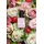Nailberry L'Oxygéné Elegance Farblack rosa 15 ml
