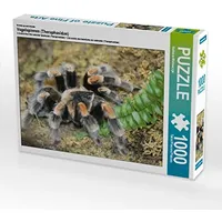 Calvendo Ein Motiv aus dem Kalender Vogelspinnen (Theraphosidae) Puzzle