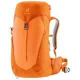 Deuter AC Lite 22 SL