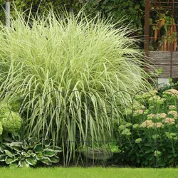 Relaxdays Beetzaun Metall, 6 Zaunelemente mit Verzierungen, HxB: 81 x 63 cm, Garten Beeteinfassung zum Stecken, schwarz