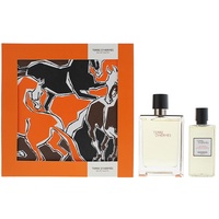 Hermès Terre d'Hermès Eau de Toilette 100 ml +