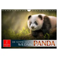 Calvendo Panda - die Stimme der Wildnis (Wandkalender 2026