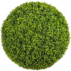 Kunstpflanze »Buchsbaumkugel« Buchsbaum, Creativ green, Höhe 54 cm grün Ø 54 cm x 54 cm