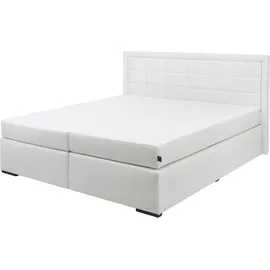 Collection AB »30 Jahre Jubiläums-Modell Athena« in H2,H3 & H4, wahlweise mit LED-Leiste, weiß