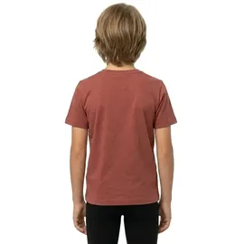 Salewa Graphic Kurzarm-t-shirt - Etruscan Red - 24 Monate-3 Jahre