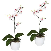 Kunstpflanze Orchidee Phalaenopsis Orchidee, Creativ green, Höhe 55 cm, im Keramiktopf rosa|weiß