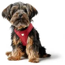 Hunter Love Hundegeschirr Rot XS