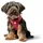Hunter Love Hundegeschirr Rot XS