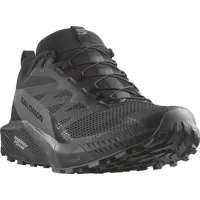 Salomon Sense Ride 5 GTX Schuhe (Größe 45 , schwarz)