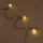 esotec Lichterkette Kunststoff 9m 30 LED Pusteblumen inkl. Zuleitung 2m schwarz