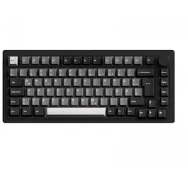 akkogear Akko MonsGeek M1 V5 RGB DE