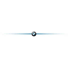 BMW BMA2WMPUCA2 AirPods 1/2 Abdeckung schwarz/schwarz Carbon Double Metal Logo, - Schwarz