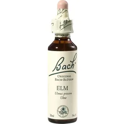 Bach-Blüte Elm 20 ML