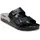 Stone Coin/Black Multi 43