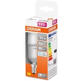 Osram LED Star Classic STICK, matte LED-Lampe in Stabform für E14 Sockel, Tageslichtweiß (6500K), 1050 Lumen, Ersatz für herkömmliche 75W-Glühbirnen, 1er-Pack