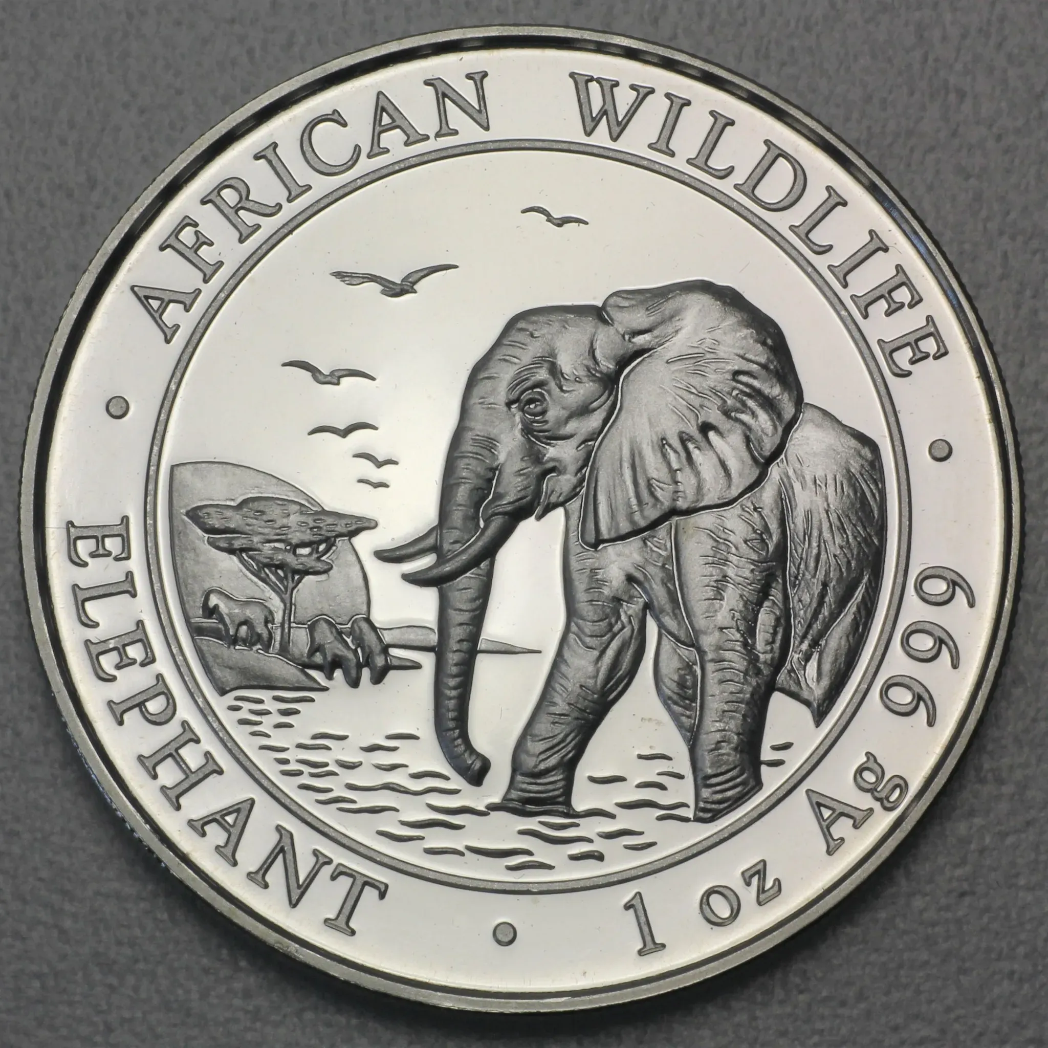 Silbermünze 1oz 