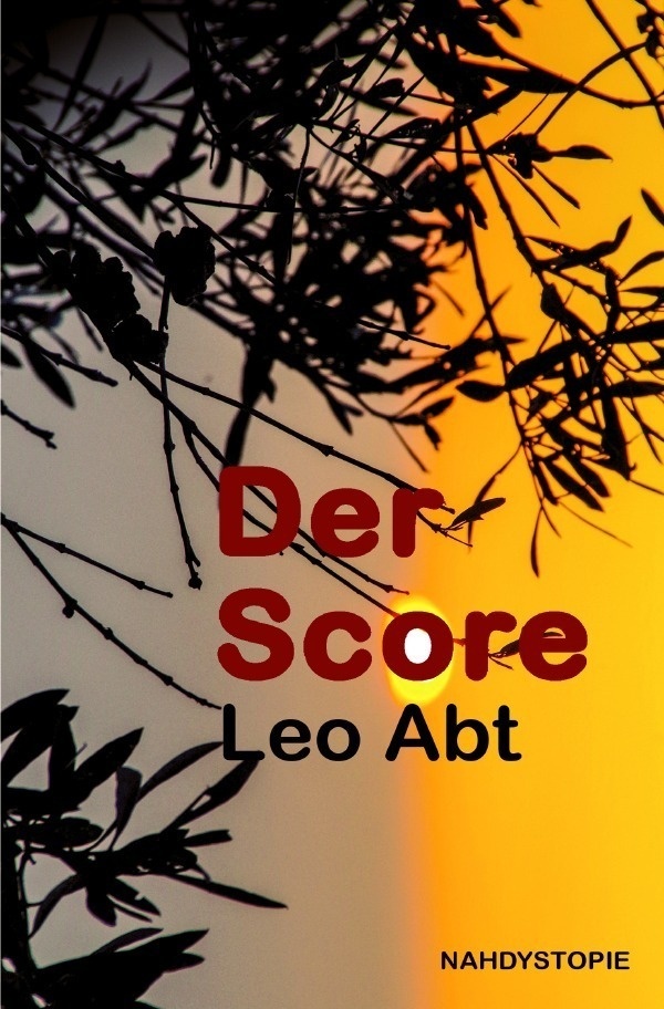Der Score - Leo Abt  Kartoniert (TB)