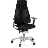 HJH Office Genidia Pro