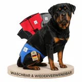 NATURE PET Premium Läufigkeitshose für Hündinnen – Hochwertige & Bequeme Hundewindeln für Hündinnen & Rüden – Waschbare Inkontinenz-Hundewindel ohne Einfädeln der Rute – L-L/Blau